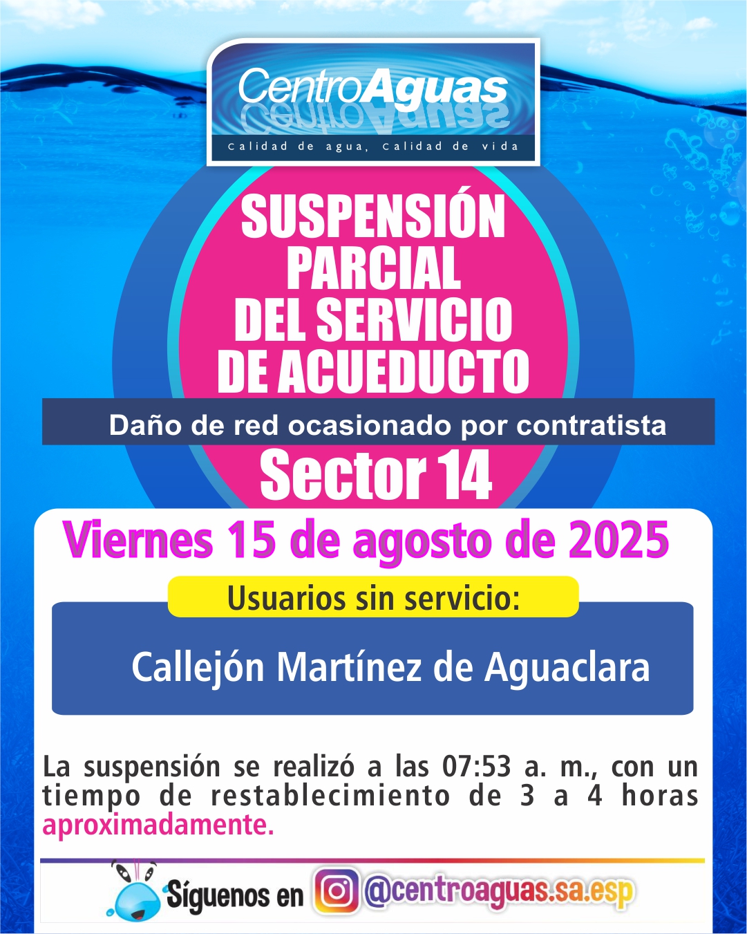 Diseño de suspensión del servicio 