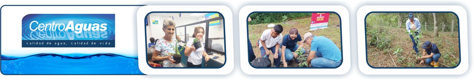 CENTROAGUAS reafirma su compromiso verde con acciones sostenibles Diseño con tres imágenes de la siembra de plantas