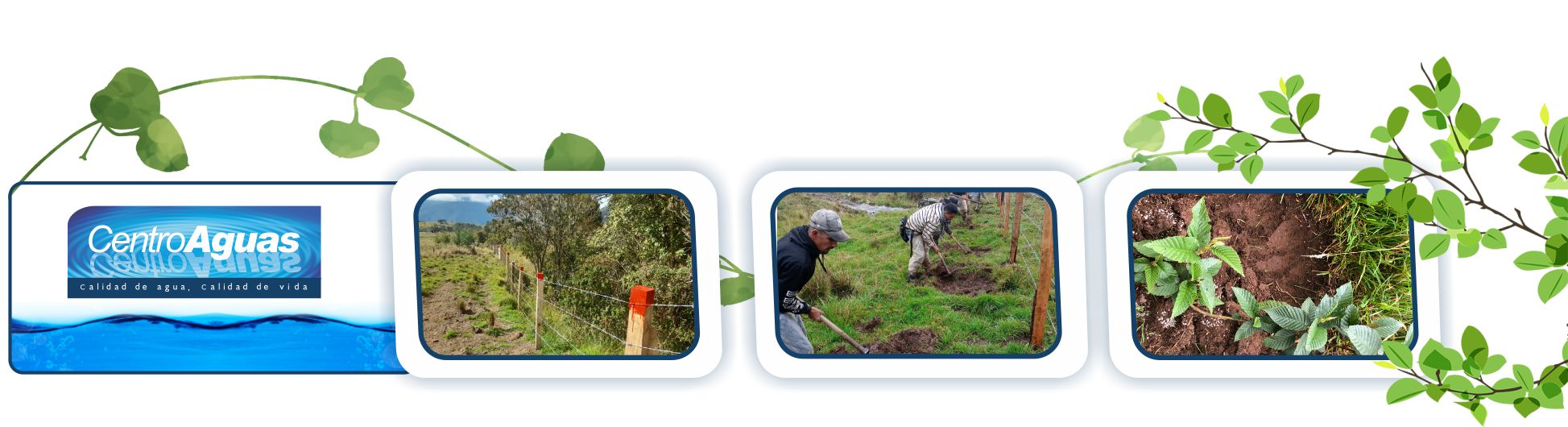 Diseño con tres imágenes de labores de aislamiento y siembra de plantas 