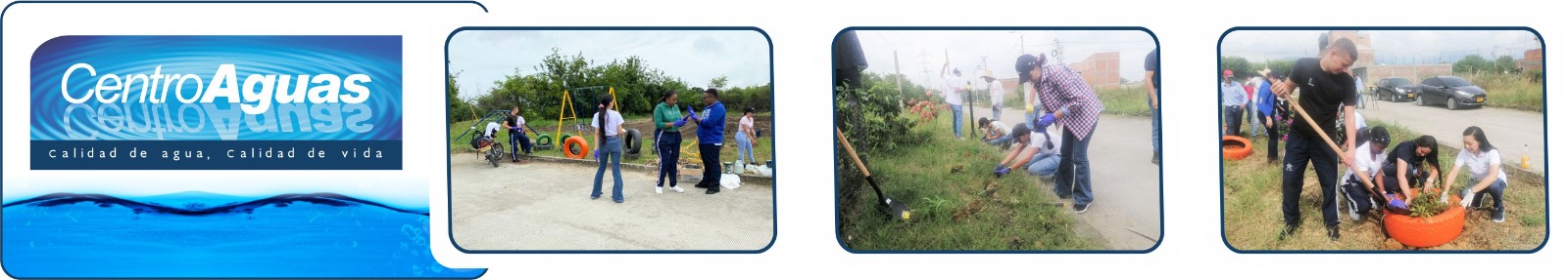 Diseño con tres fotografías de la siembra de árboles y adecuación de zona verde