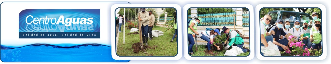se ven funcionarios de la empresa realizando labores de siembra  Diseño con tres fotografías donde se ven funcionarios de la empresa realizando labores de siembra