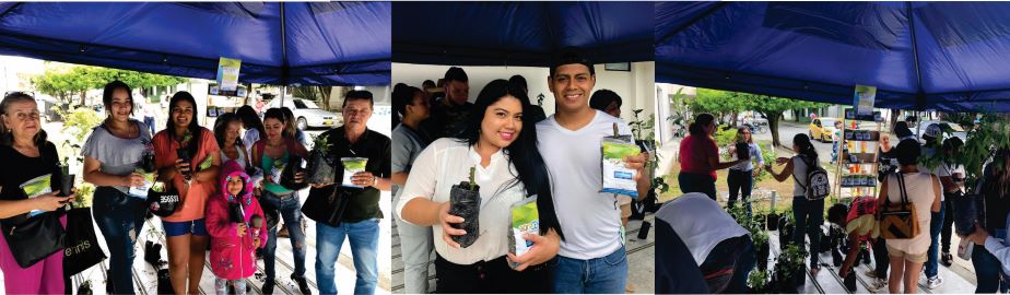 entrega de plantas a los usuarios que visitaban la oficina de Atención al Usuario Diseño de tres fotografías donde se muestra la entrega de plantas a los usuarios que visitaban la oficina de Atención al Usuario