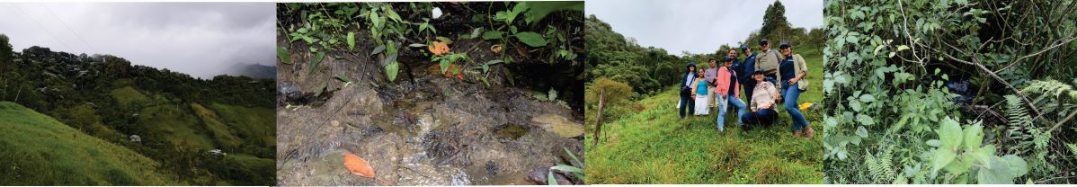 zona de Monteloro, los nacimientos de agua y las familias beneficiadas Diseño de cuatro fotografías donde se ve la zona de Monteloro, lo nacimientos de agua y las familia beneficiada