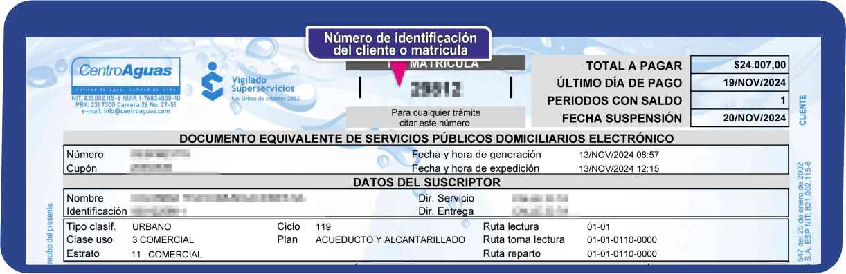 Número de matrícula ubicado en la parte superior de la factura