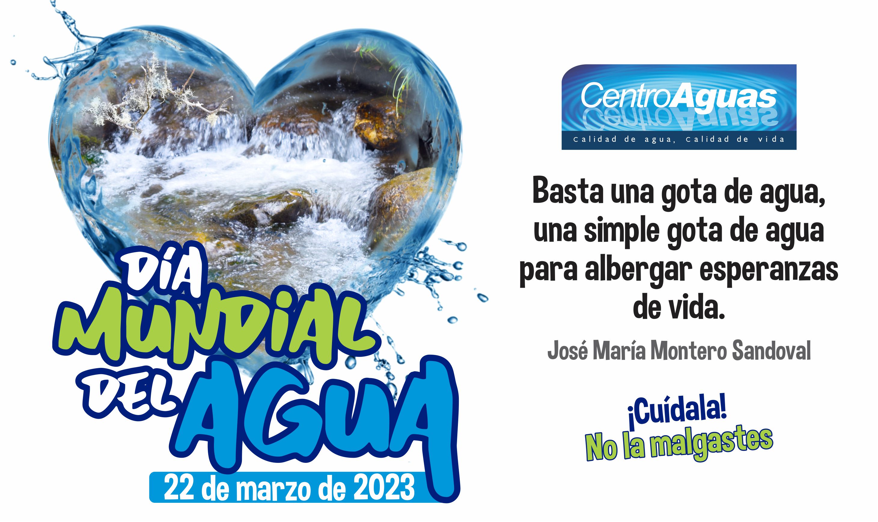 Día Mundial del Agua. Cuídala, no la malgastes
